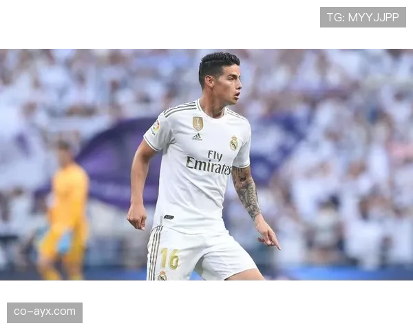 埃弗顿锋线新星崭露头角，新赛季表现引发球迷高度关注