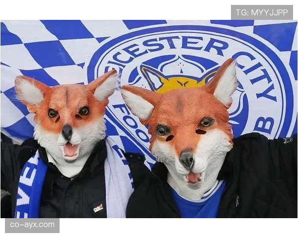 莱斯特城球迷集结抗议 促俱乐部优化管理与发展方向