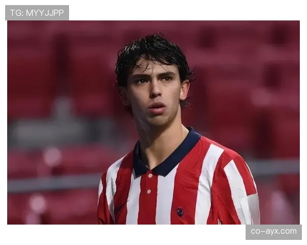 菲利克斯训练完直接去夜店蹦到凌晨？这作息谁顶得住啊